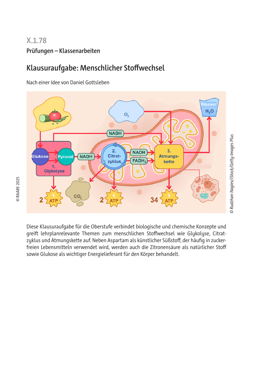 Klausuraufgabe: Menschlicher Stoffwechsel