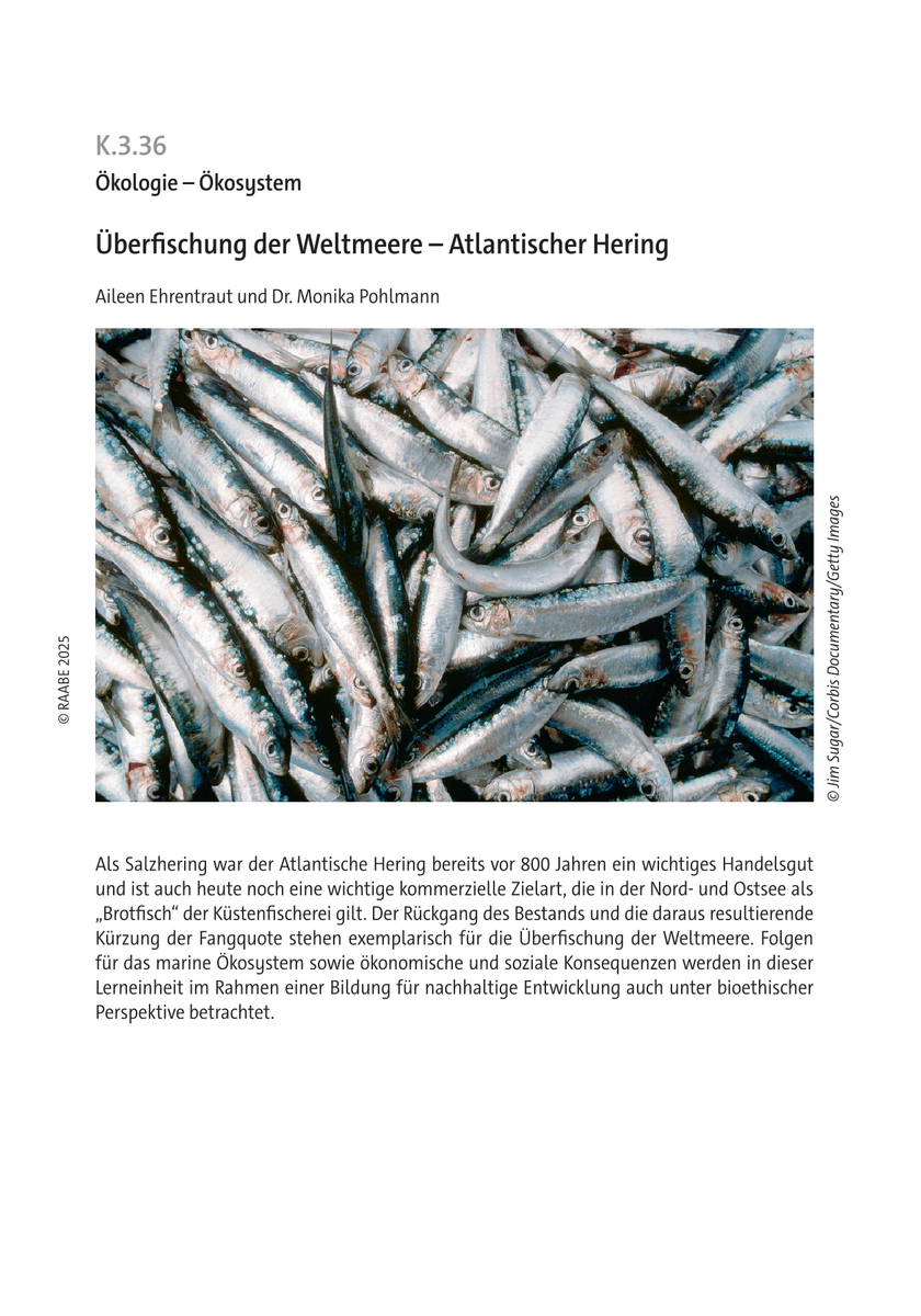 Überfischung der Weltmeere