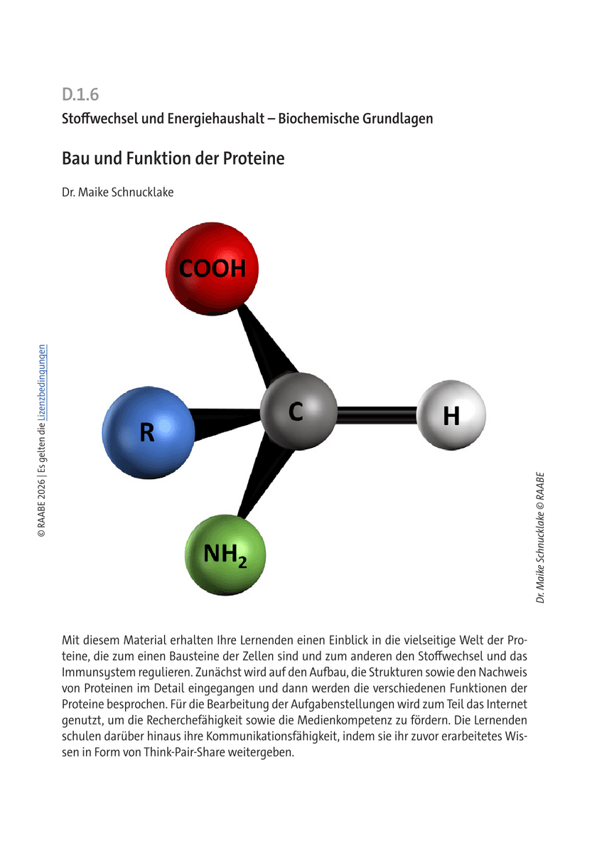 Bau und Funktion der Proteine