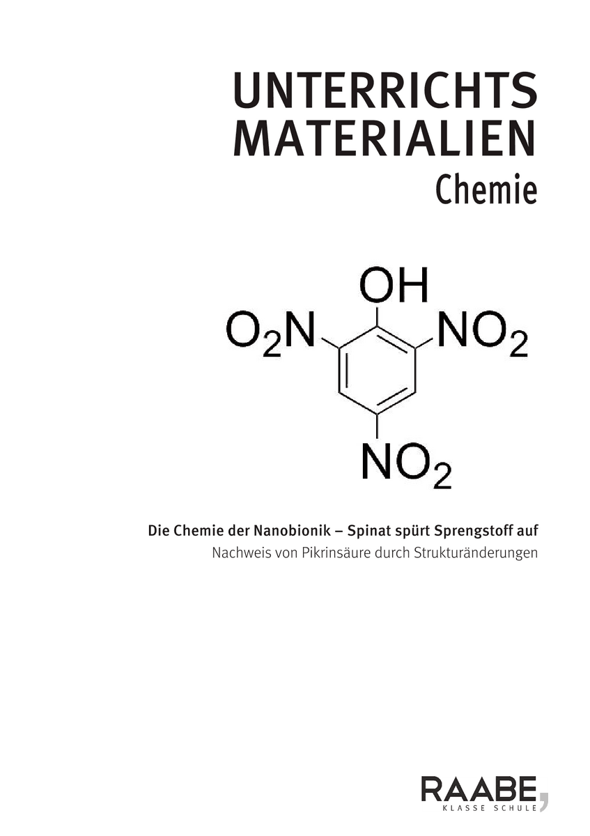 Die Chemie der Nanobionik