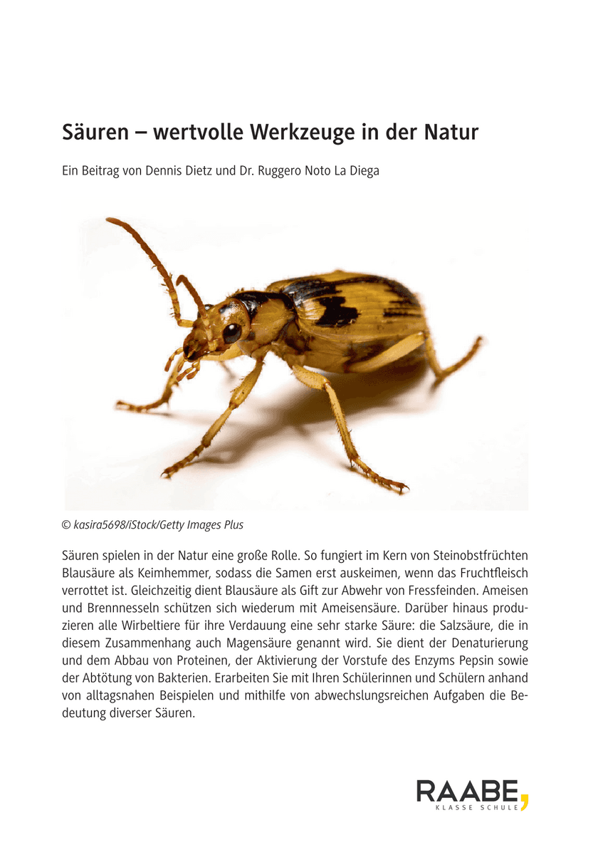 Säuren