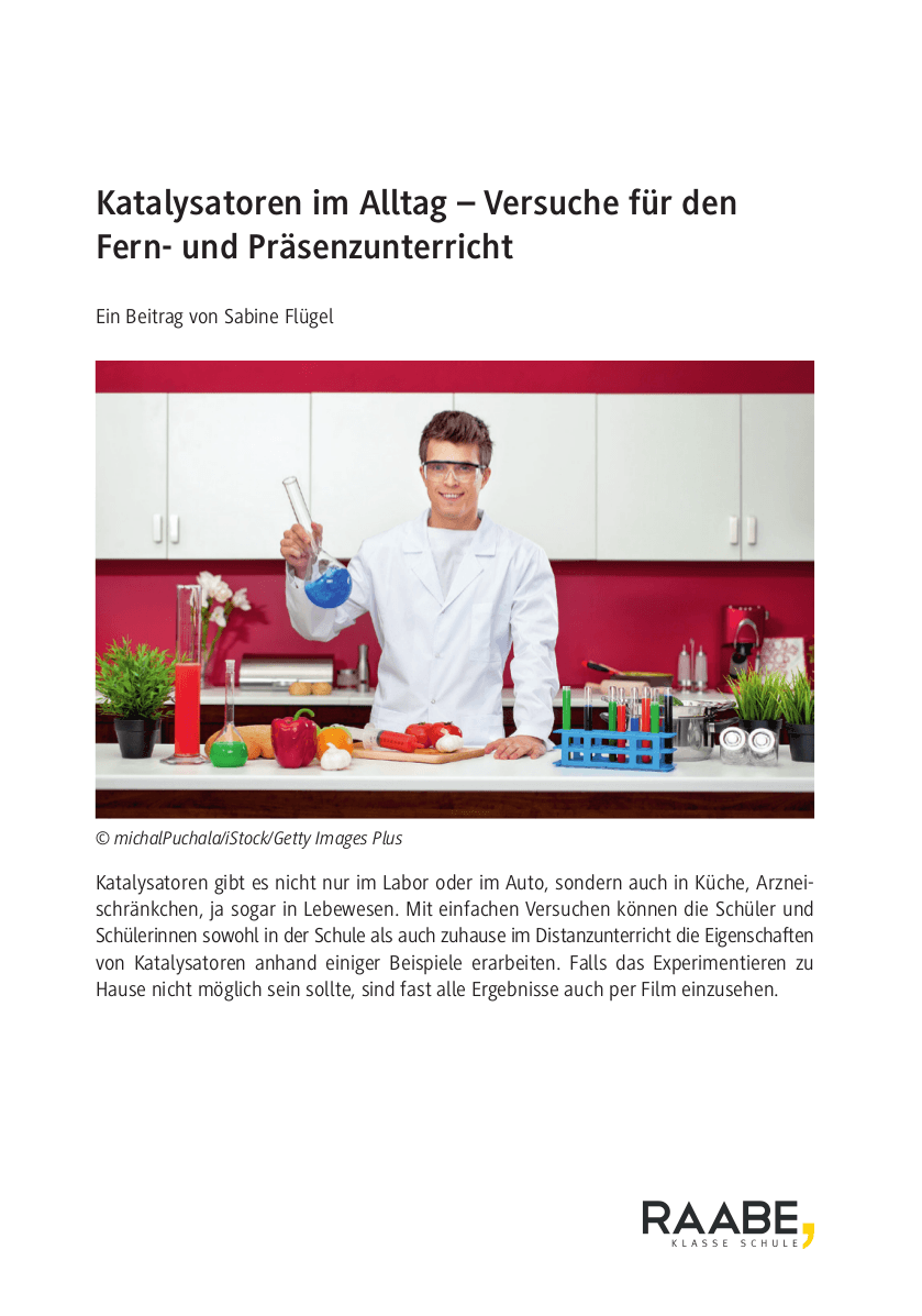 Katalysatoren im Alltag