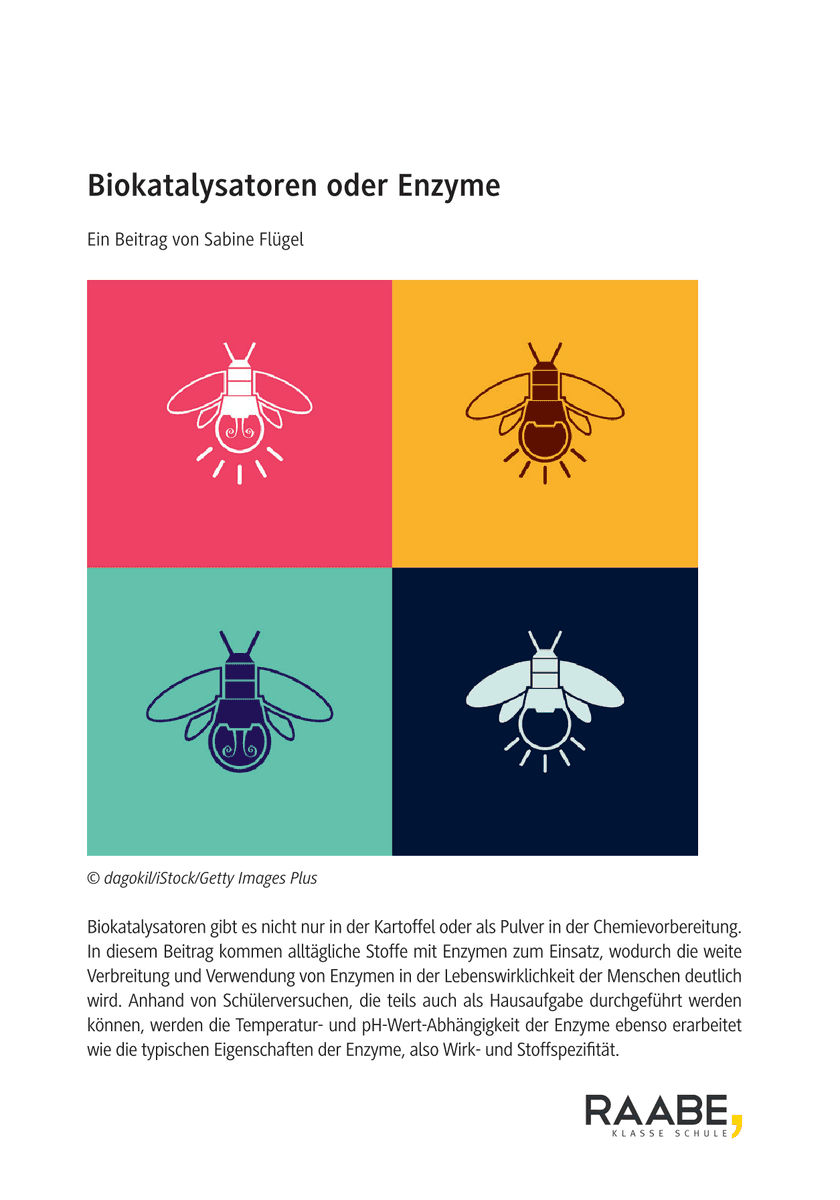 Biokatalysatoren oder Enzyme