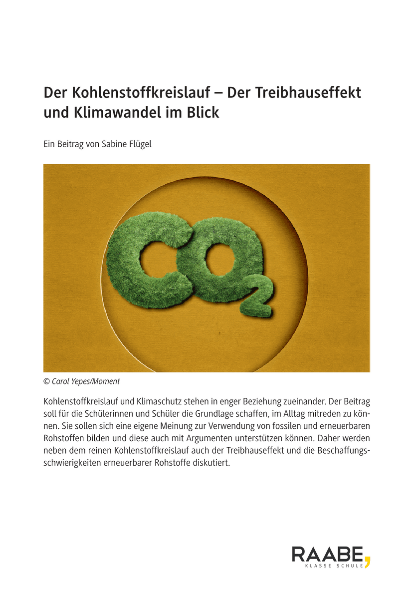 Der Kohlenstoffkreislauf