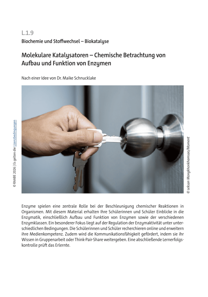 Molekulare Katalysatoren