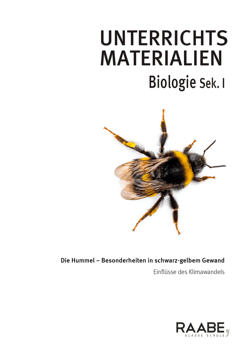 Die Hummel