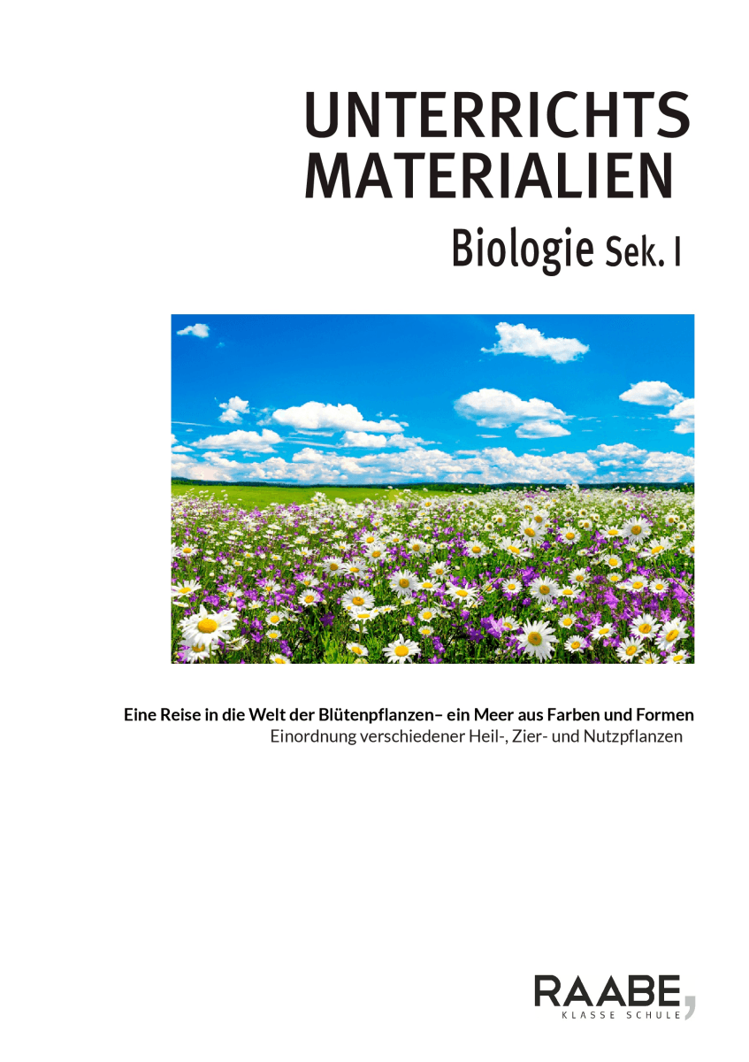 Eine Reise in die Welt der Blütenpflanzen