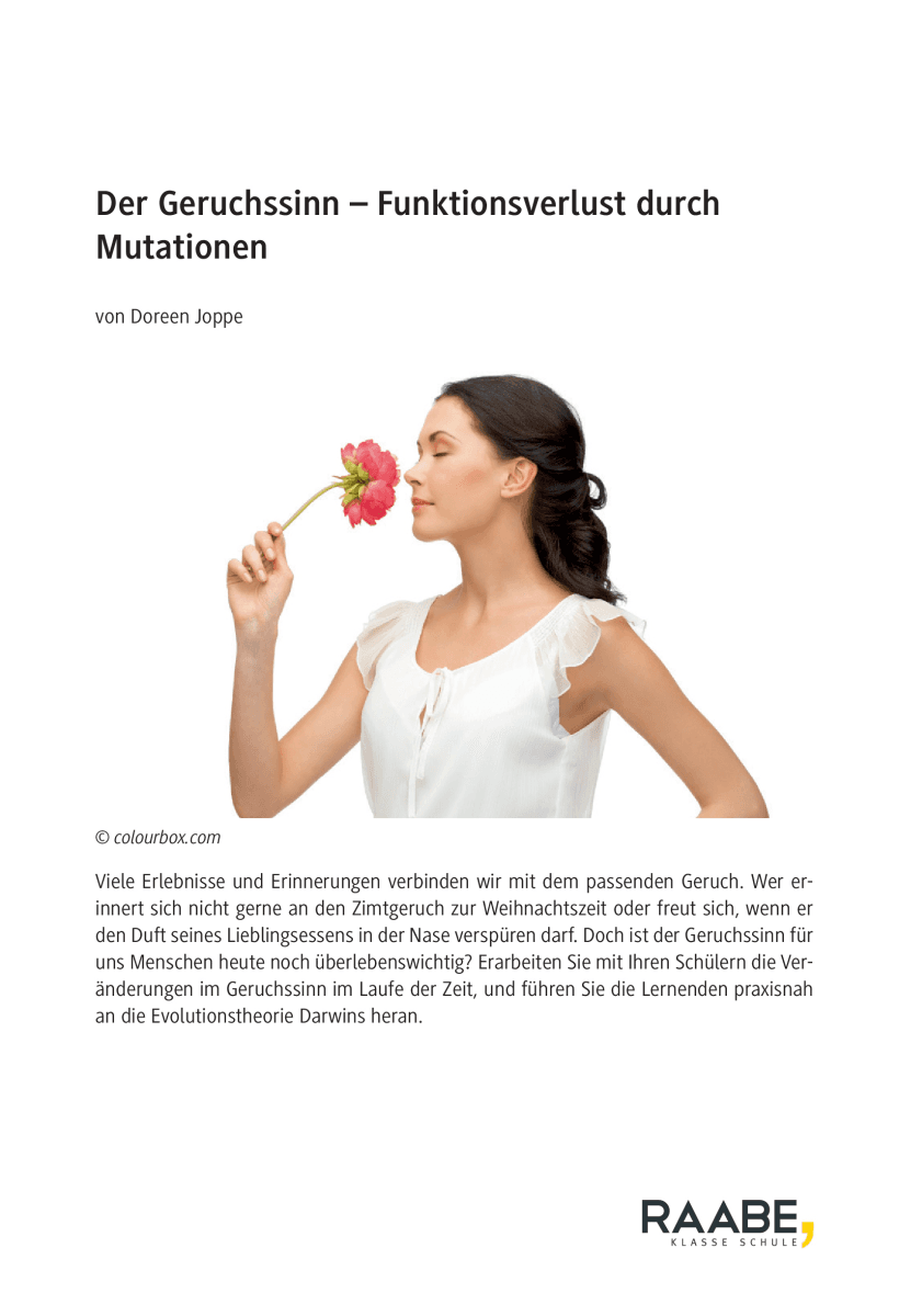 Der Geruchssinn