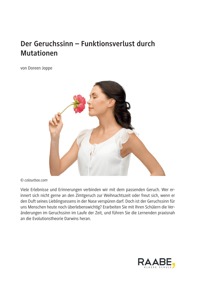 Der Geruchssinn