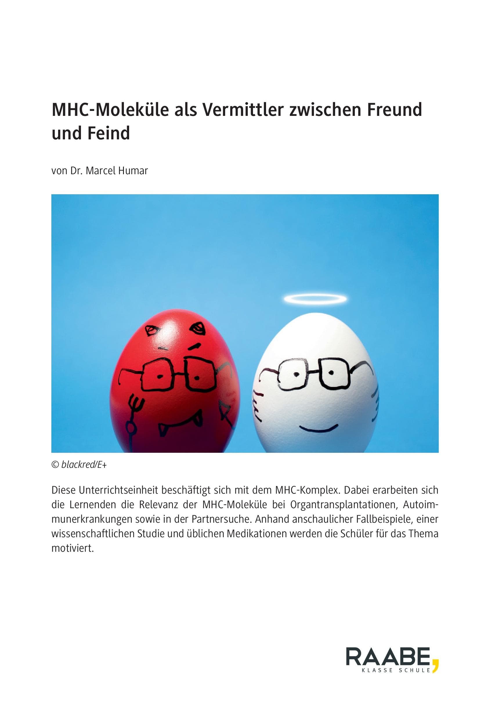 MHC-Moleküle als Vermittler zwischen Freund und Feind