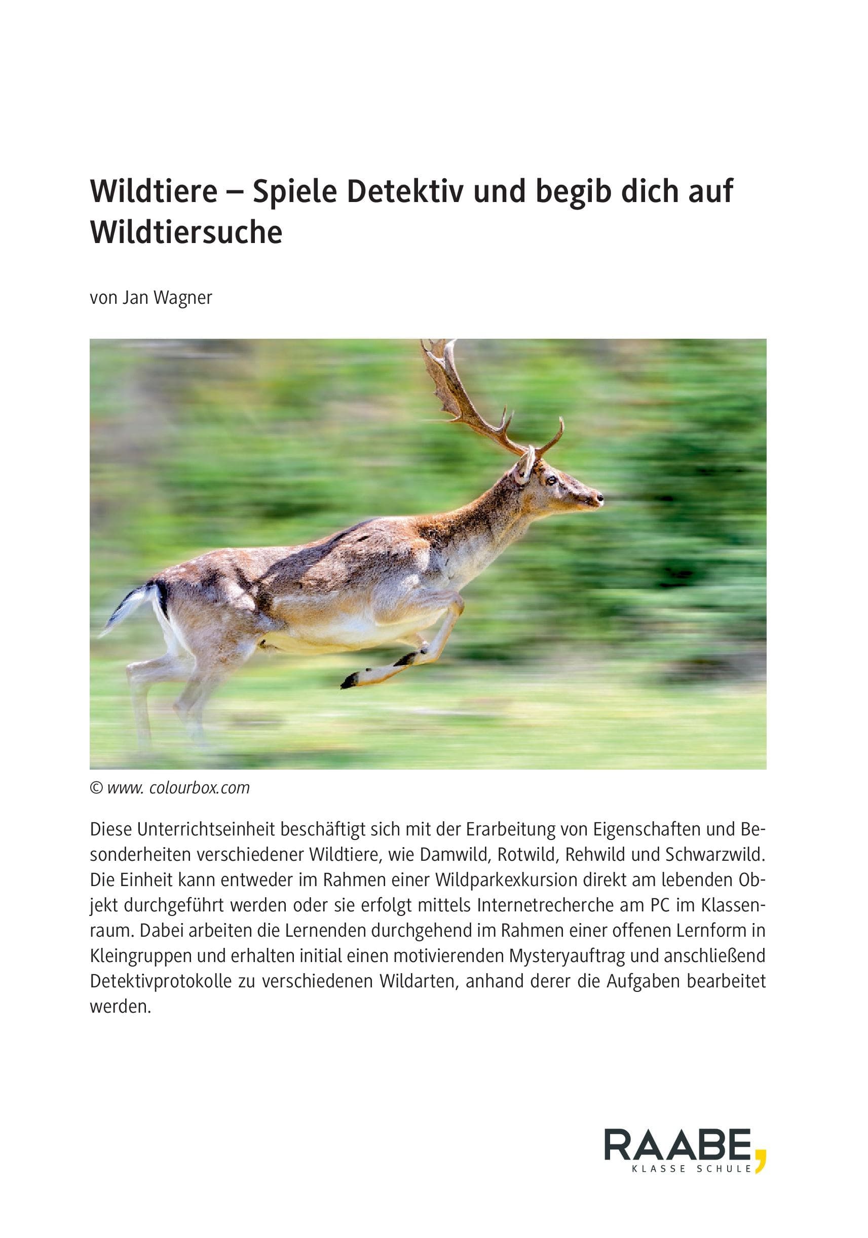 Wildtiere