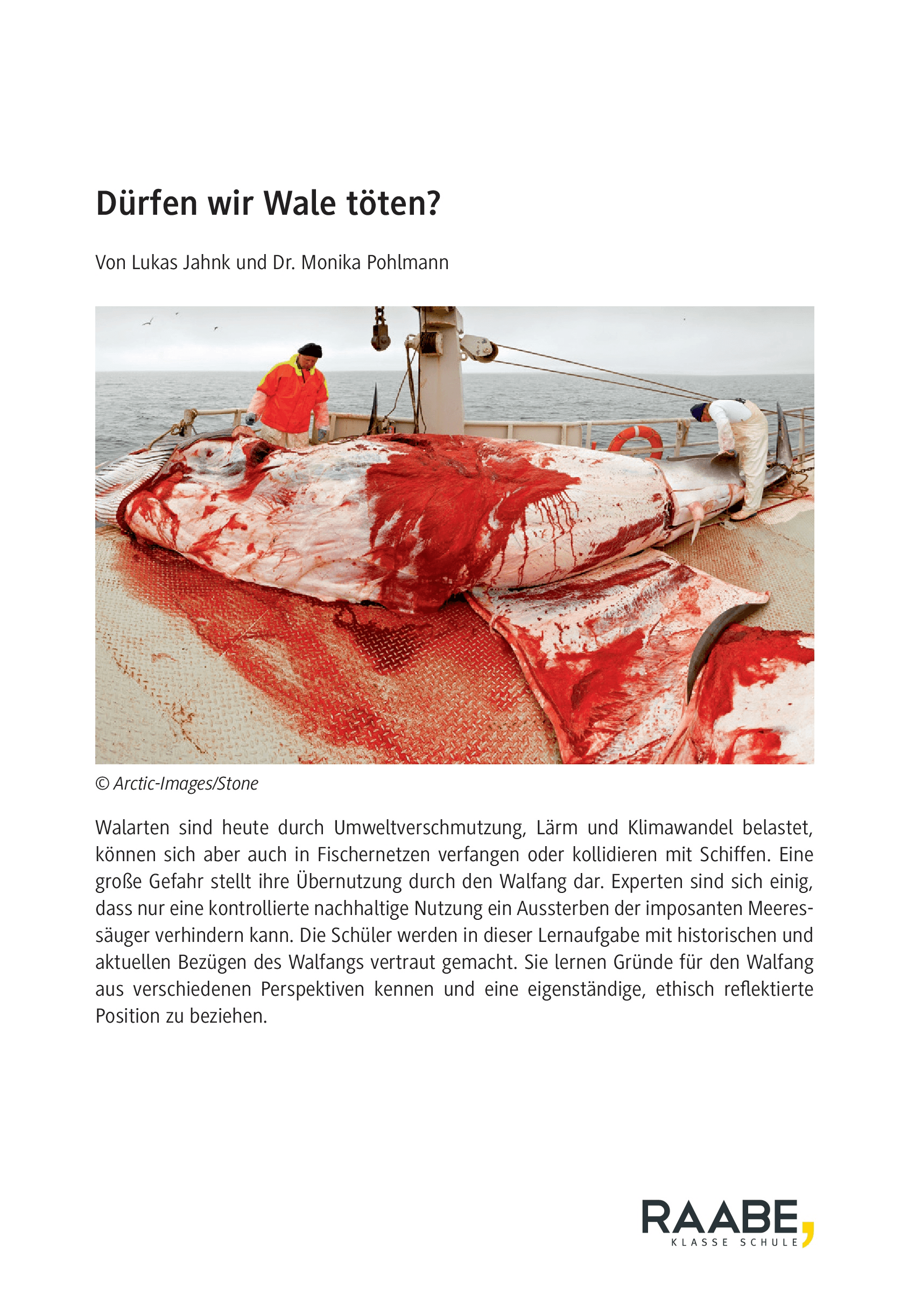 Dürfen wir Wale töten?