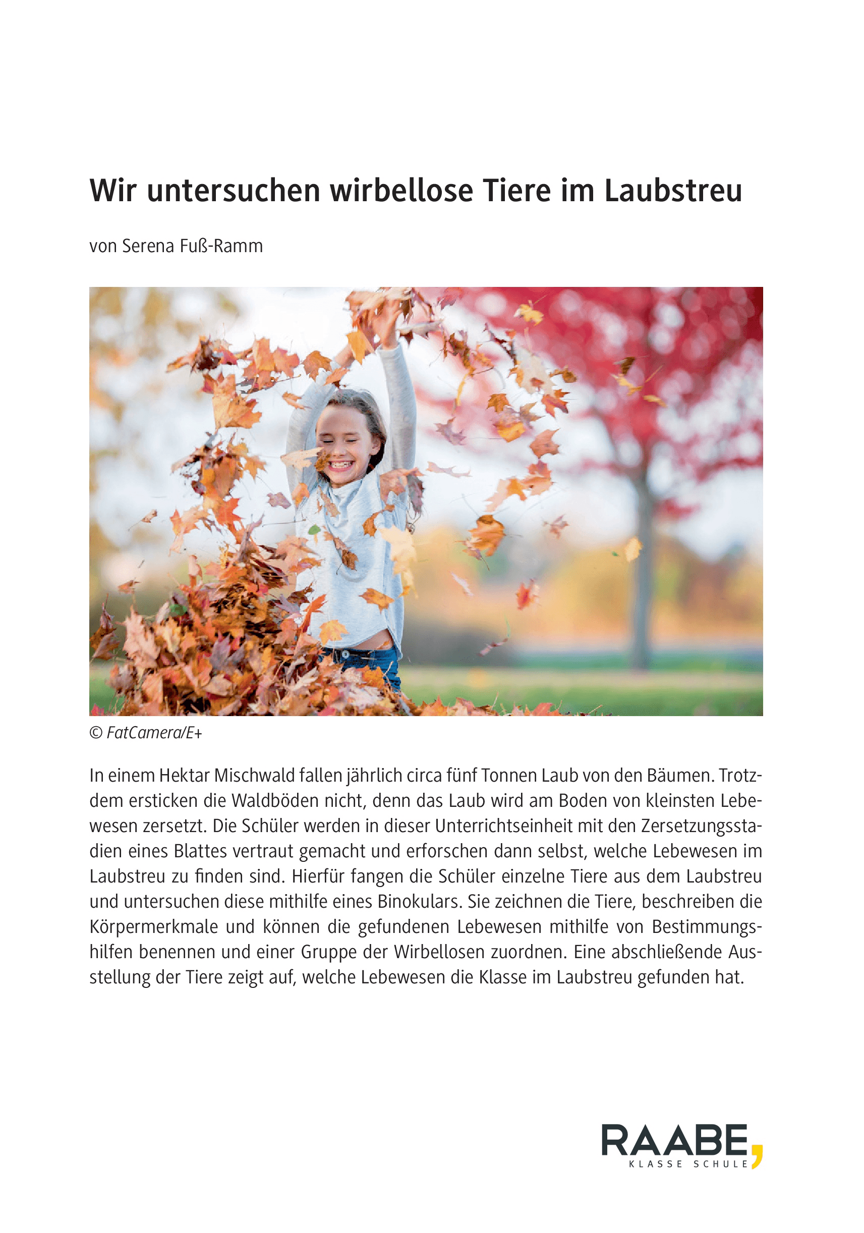 Wir untersuchen wirbellose Tiere im Laubstreu