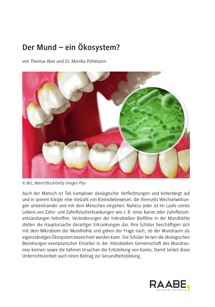 Der Mund