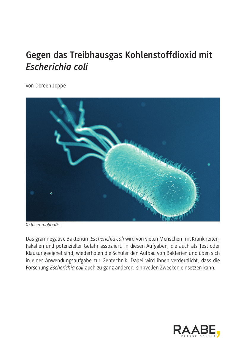 Gegen das Treibhausgas Kohlenstoffdioxid mit
Escherichia coli
