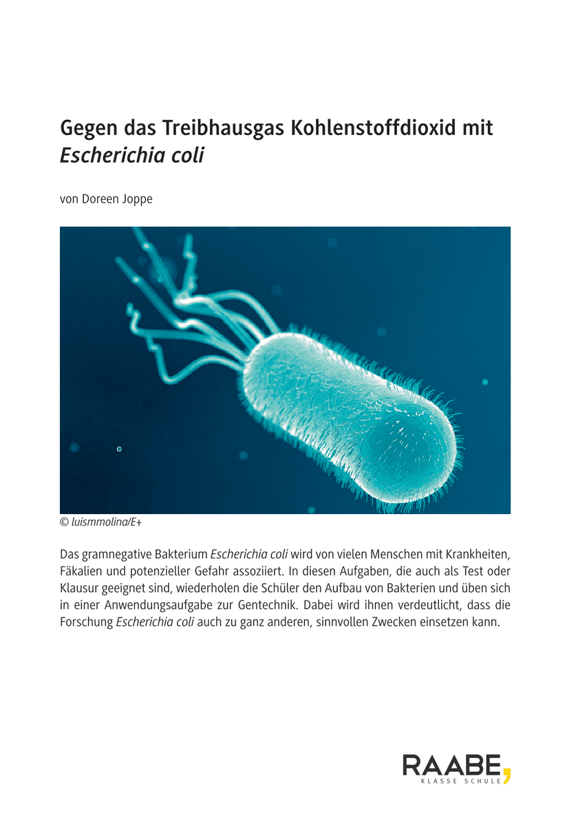 Gegen das Treibhausgas Kohlenstoffdioxid mit Escherichia coli