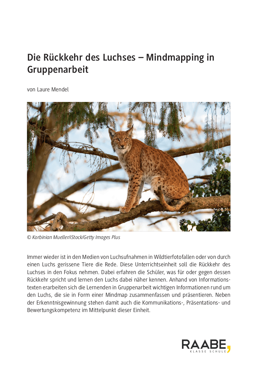 Die Rückkehr des Luchses