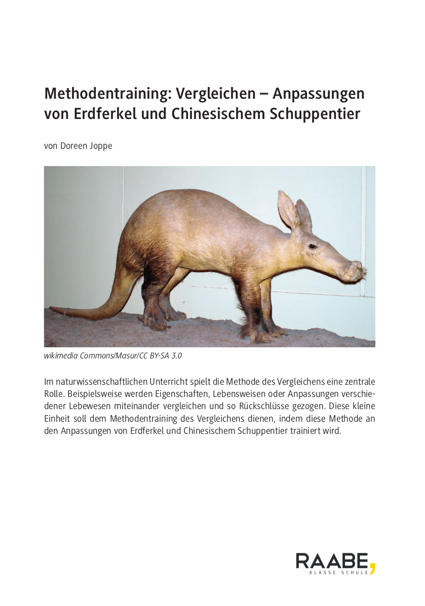 Methodentraining: Vergleichen