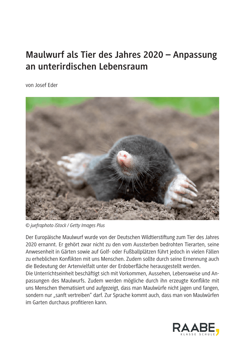 Maulwurf als Tier des Jahres 2020