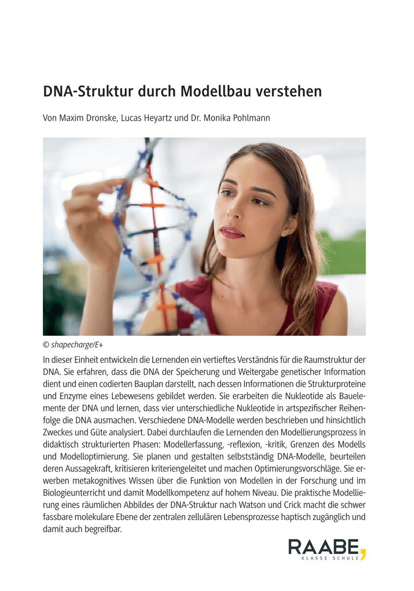 DNA-Struktur durch Modellbau verstehen