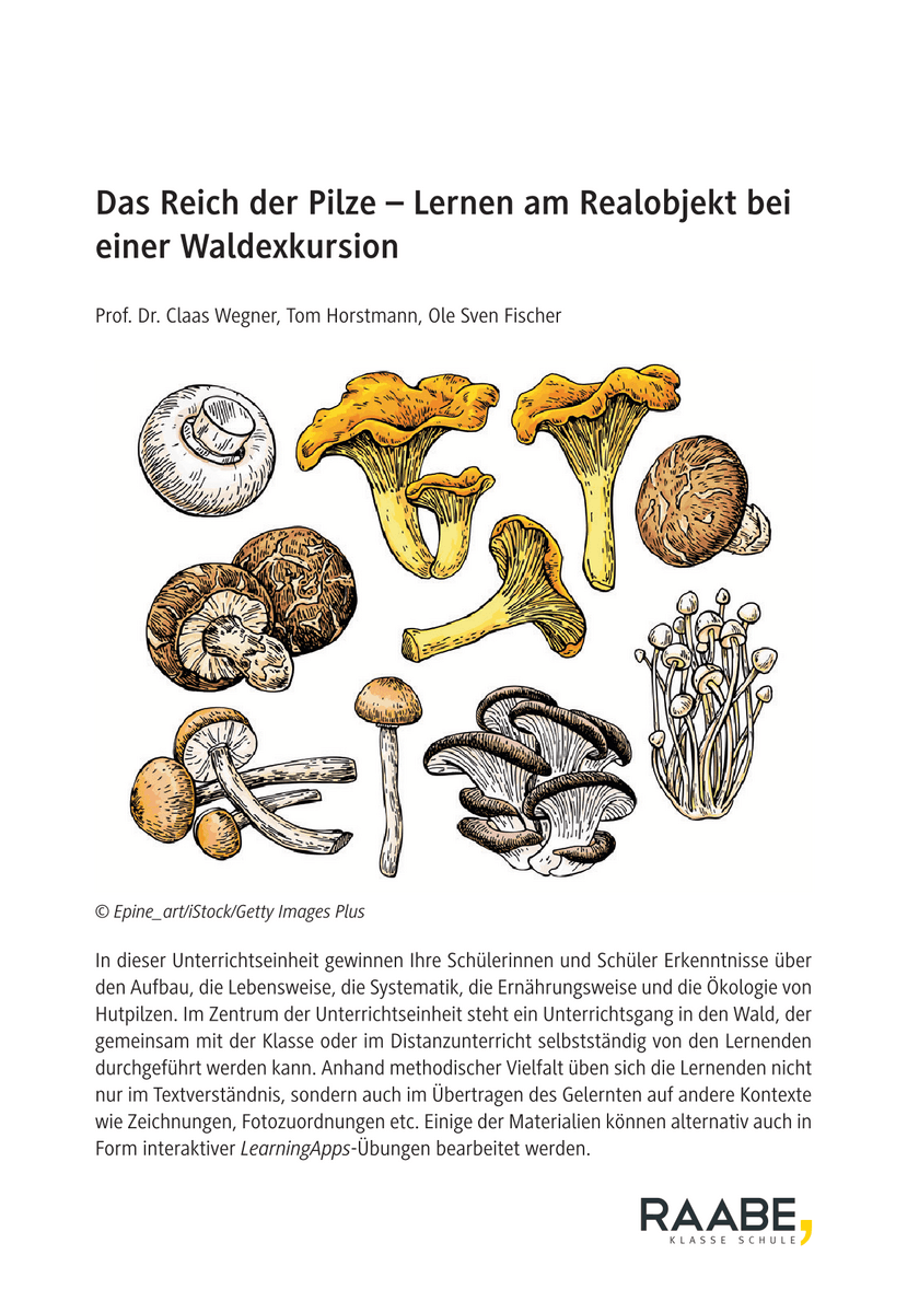 Das Reich der Pilze