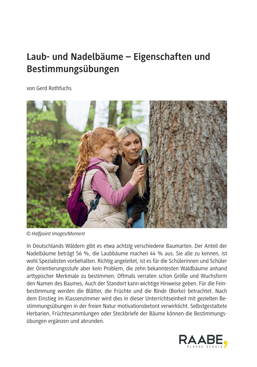 Laub- und Nadelbäume