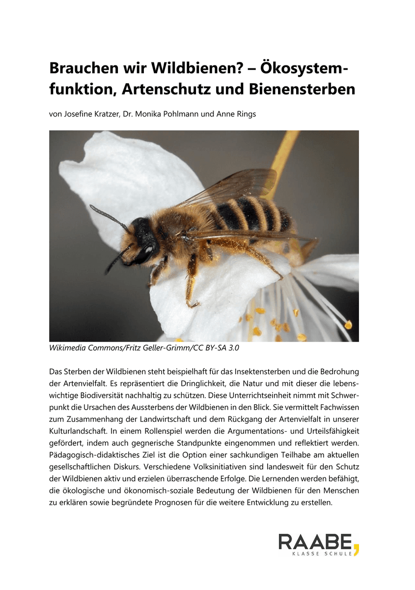 Brauchen wir Wildbienen?