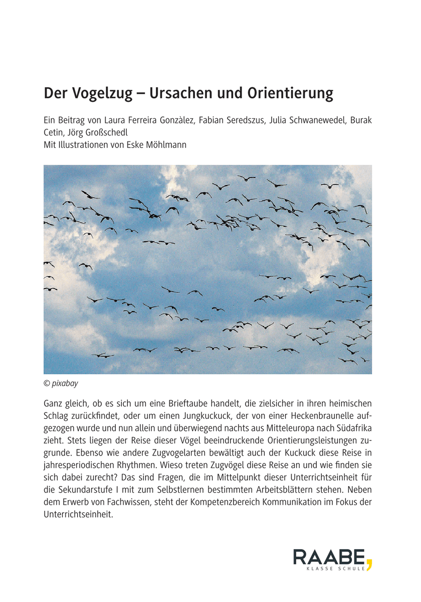 Der Vogelzug