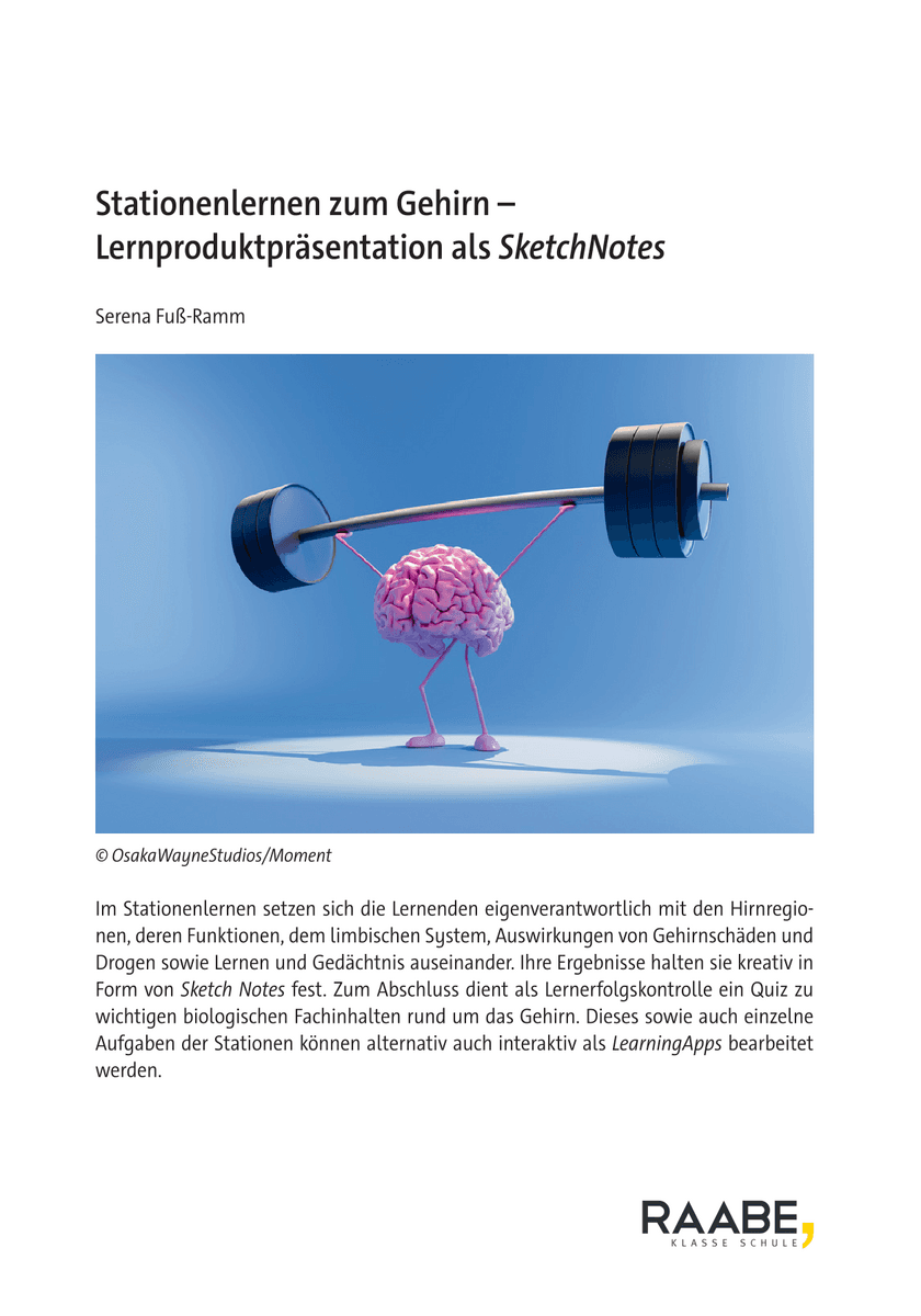 Stationenlernen zum Gehirn