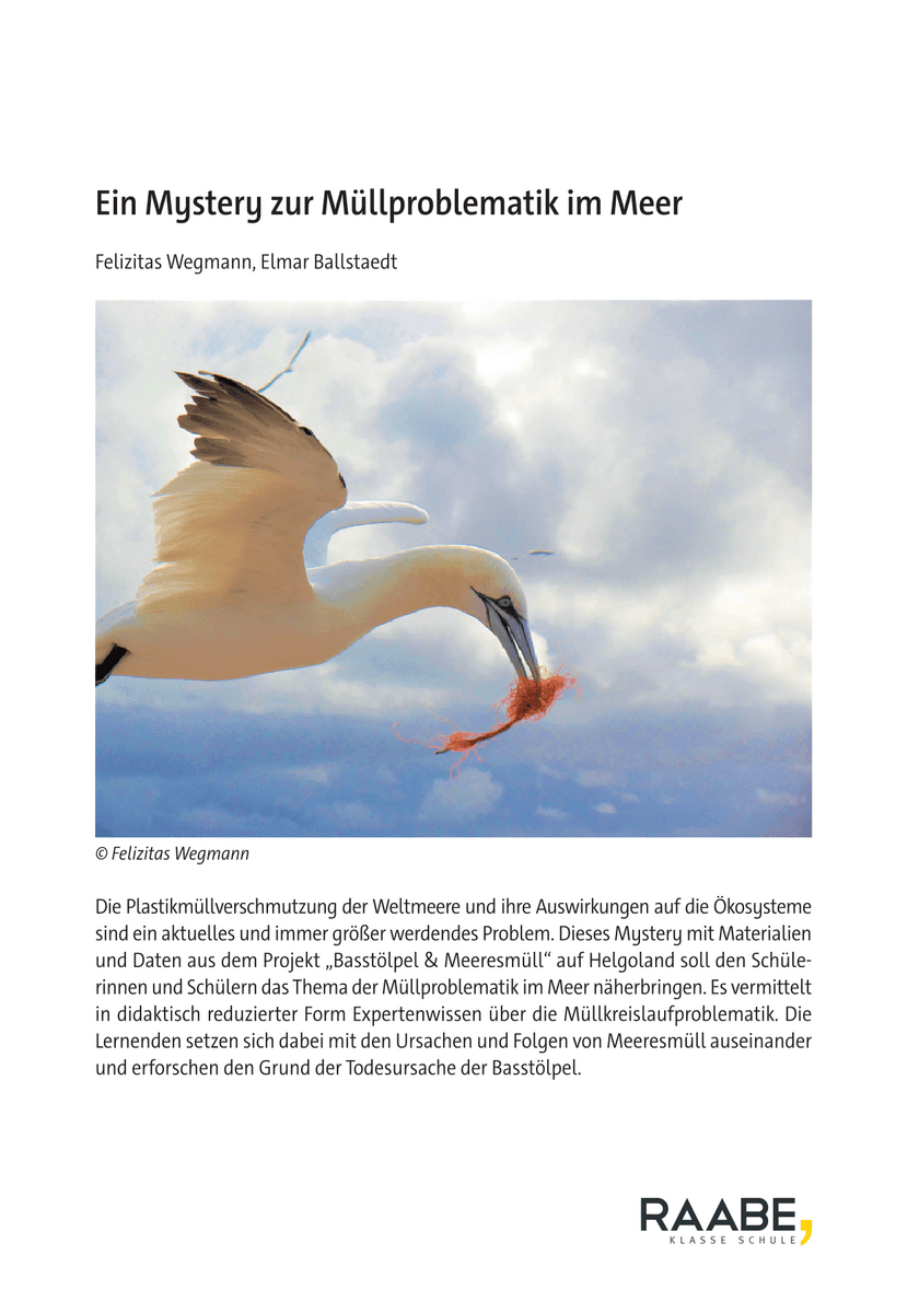 Ein Mystery zur Müllproblematik im Meer