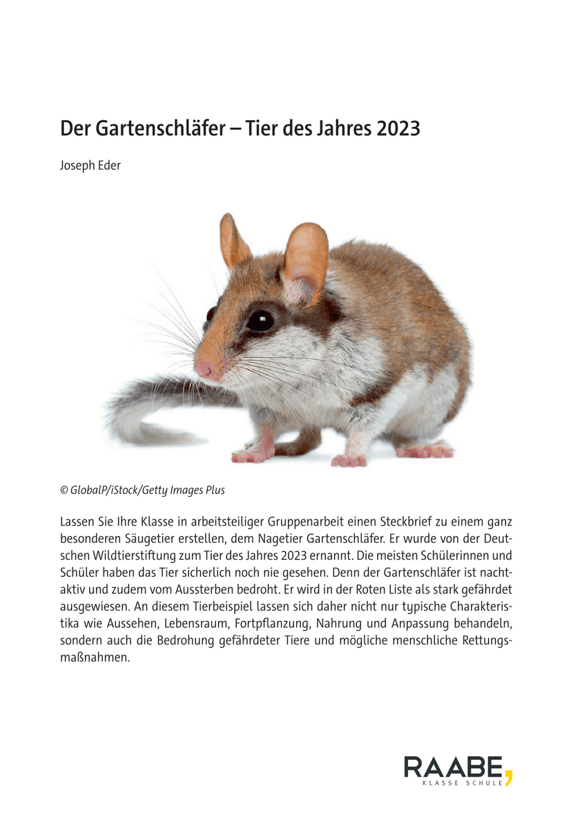 Der Gartenschläfer