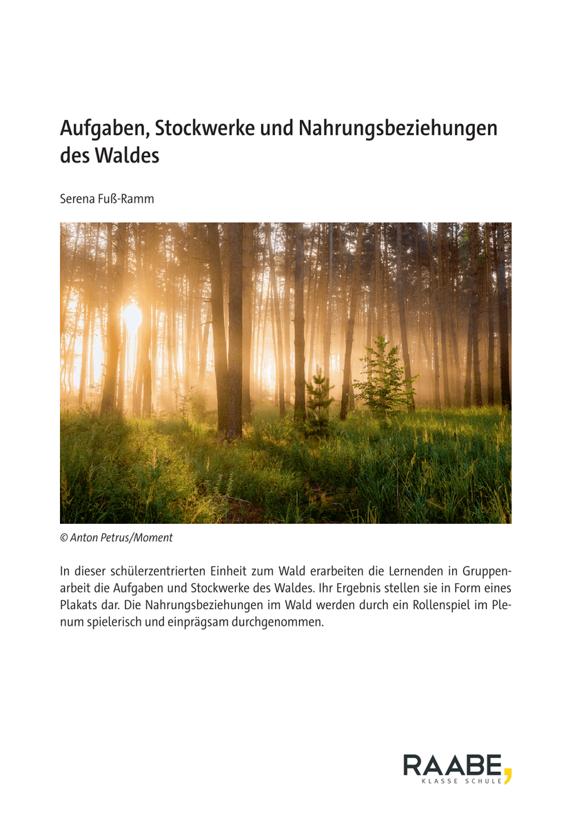 Aufgaben, Stockwerke und Nahrungsbeziehungen des Waldes