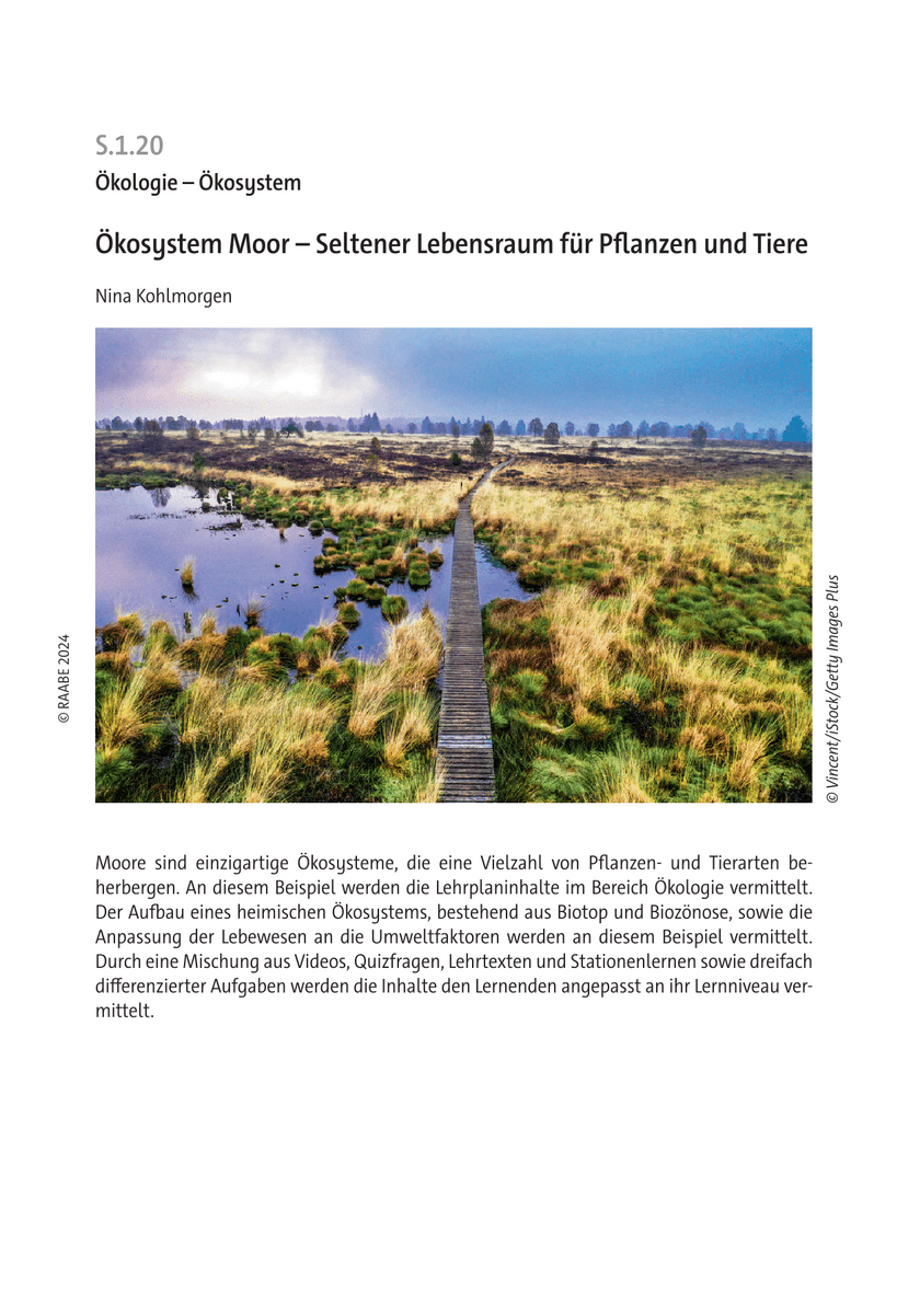 Ökosystem Moor