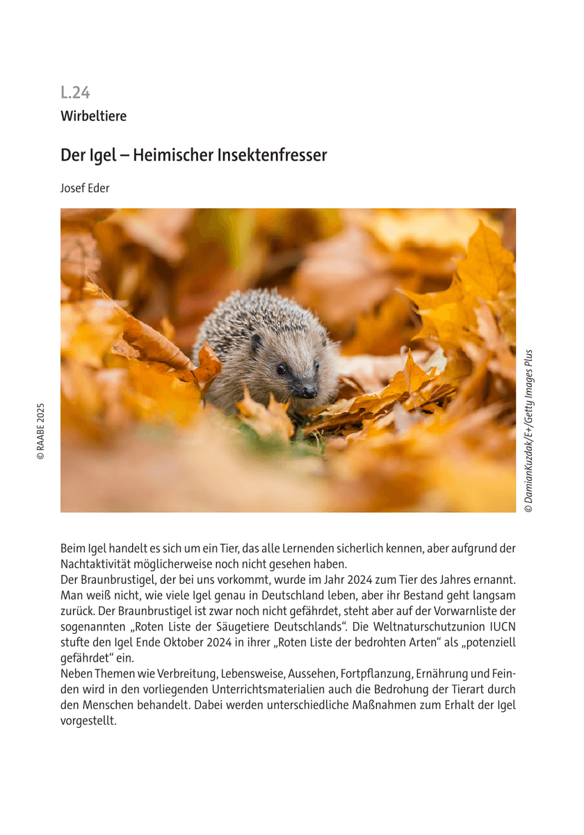 Der Igel