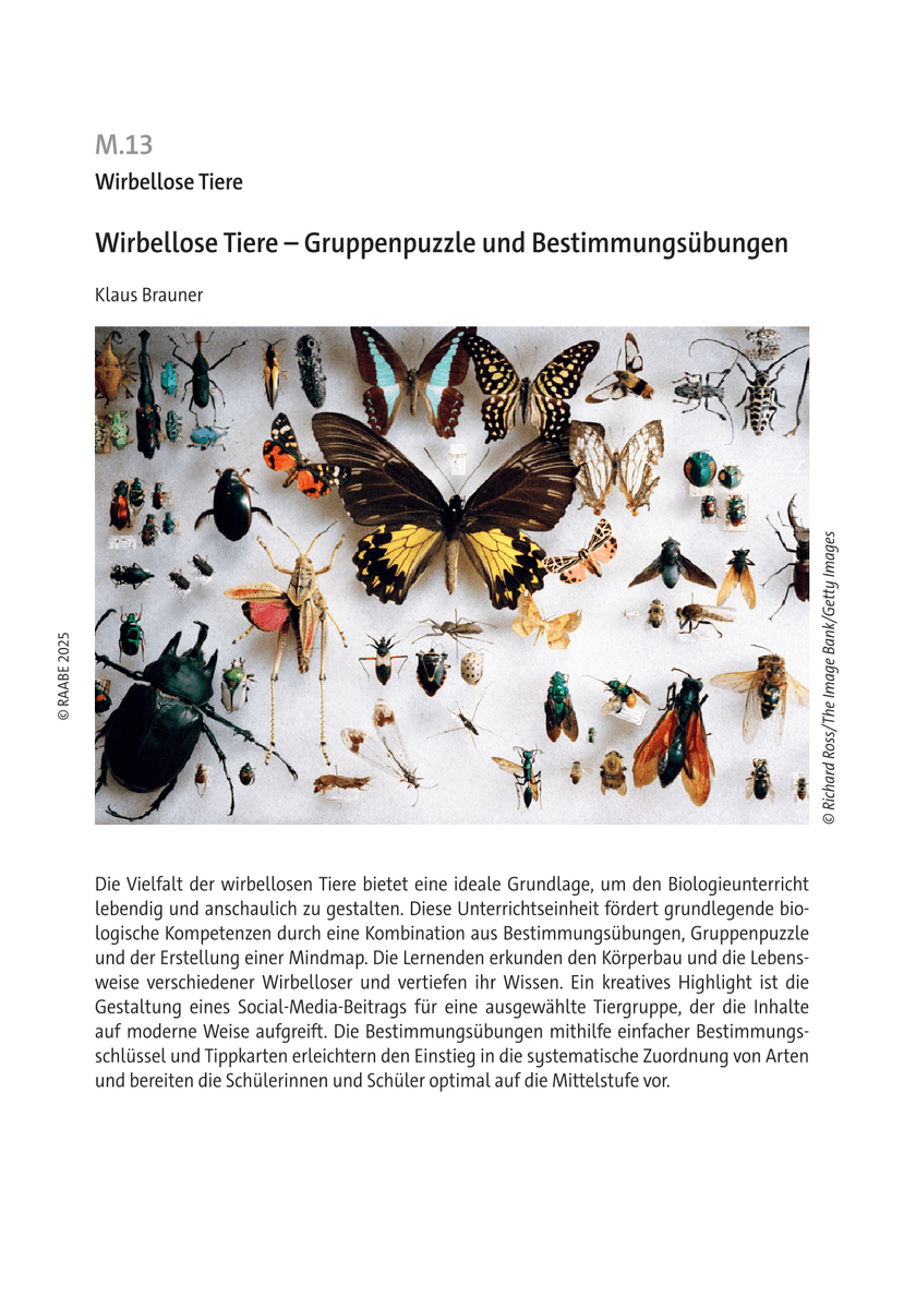 Wirbellose Tiere