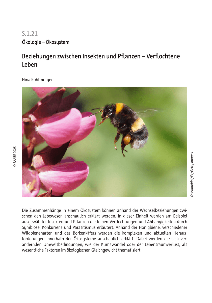 Beziehungen zwischen Insekten und Pflanzen