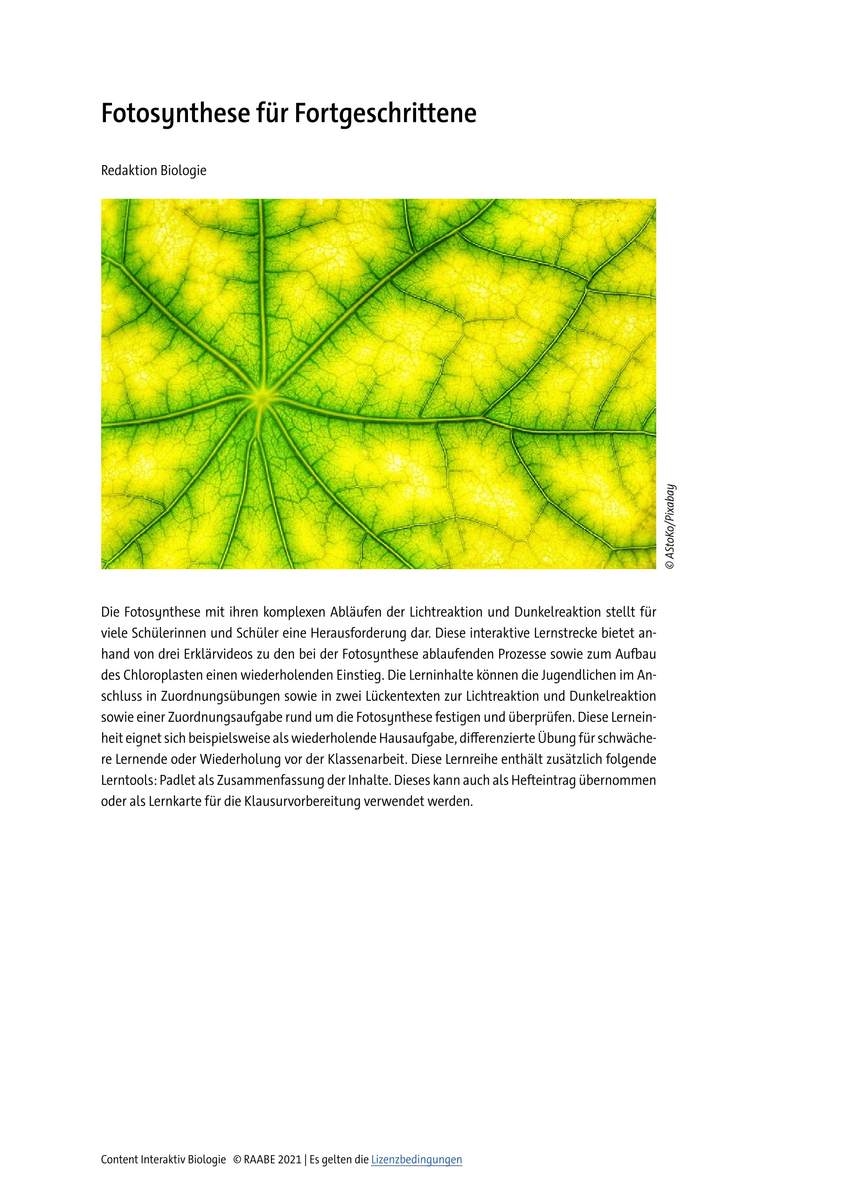 Fotosynthese für Fortgeschrittene