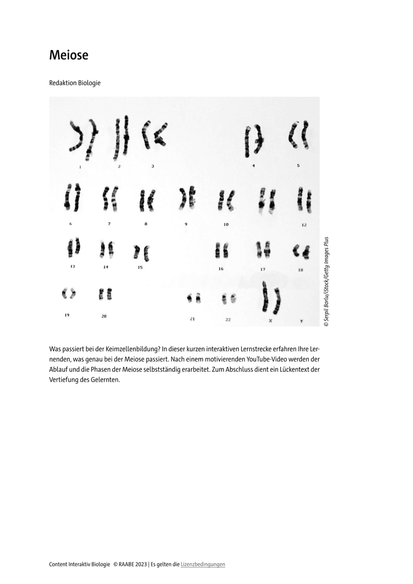 Meiose