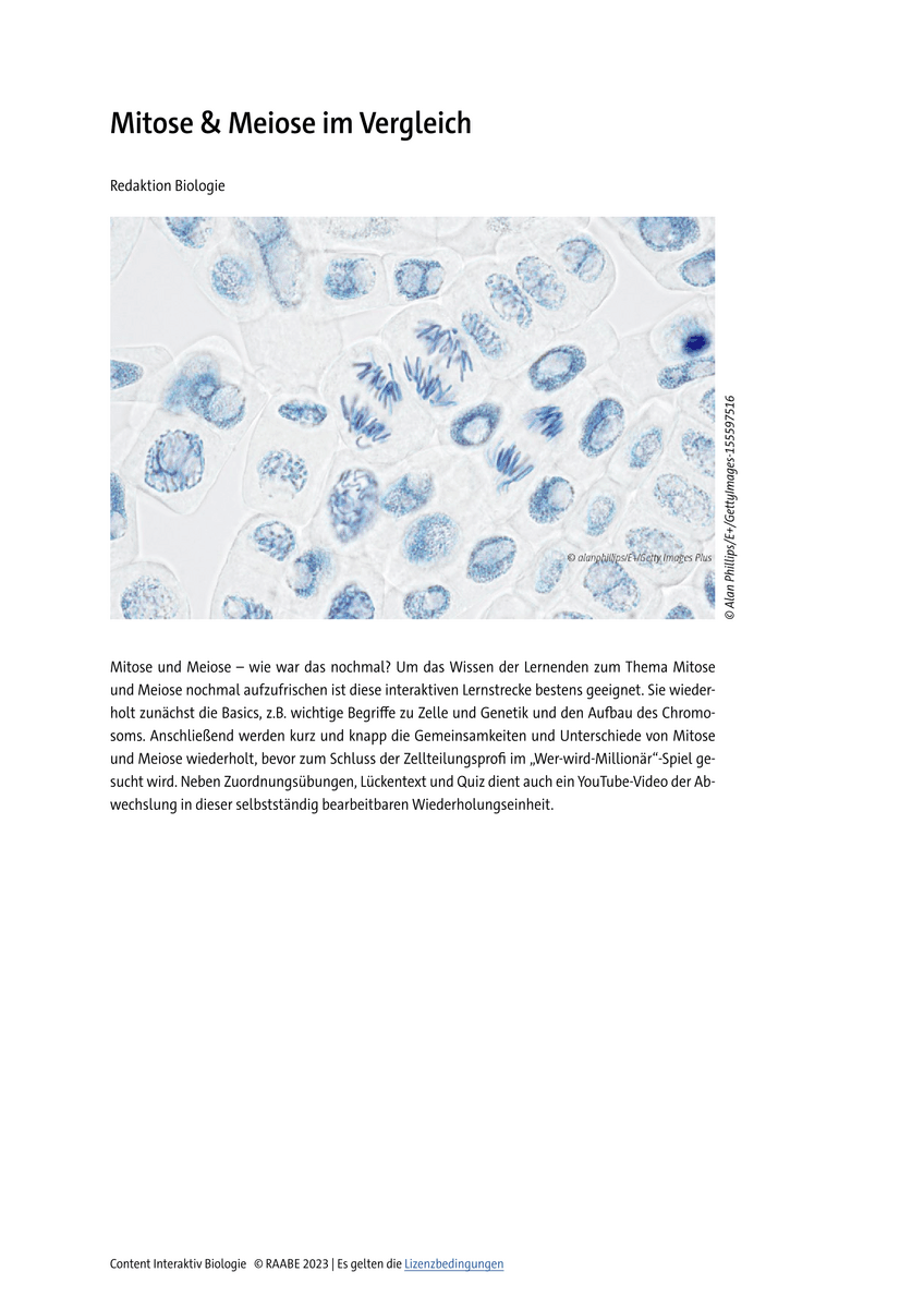 Mitose & Meiose im Vergleich
