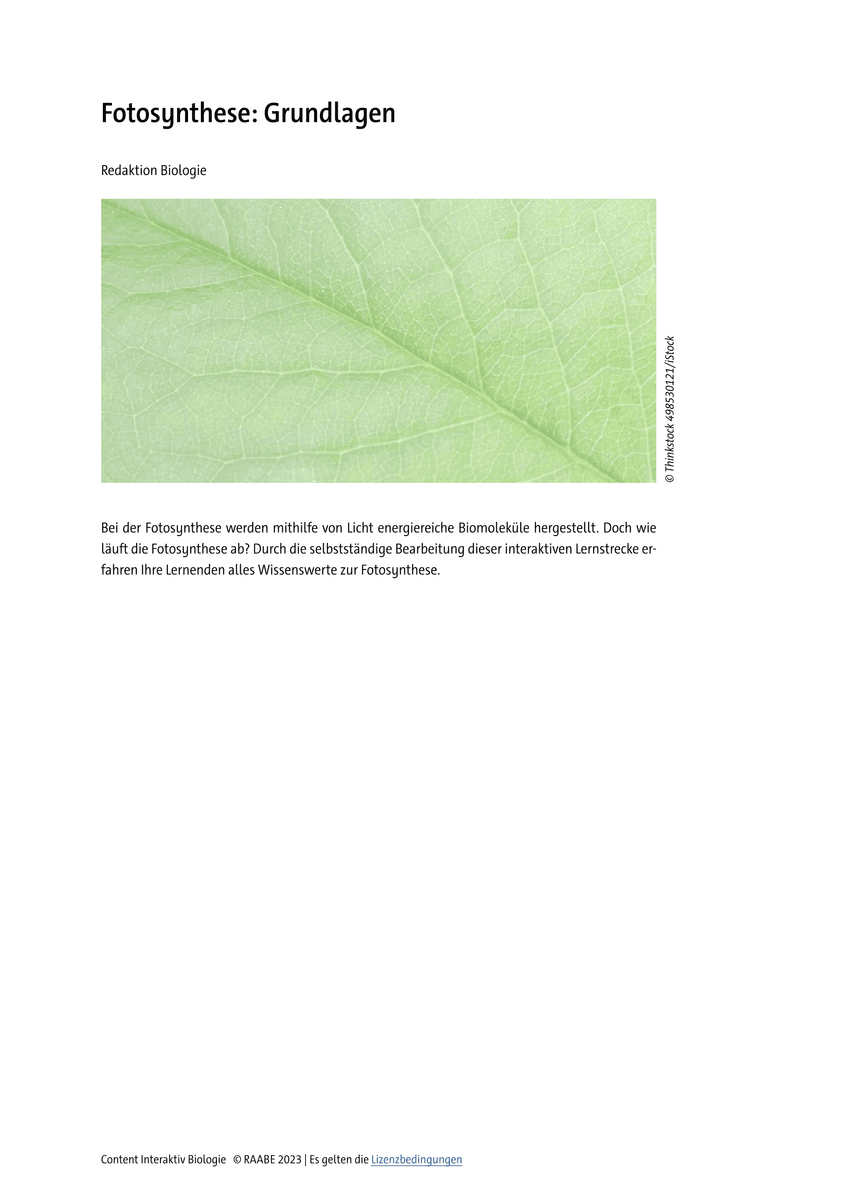 Fotosynthese: Grundlagen