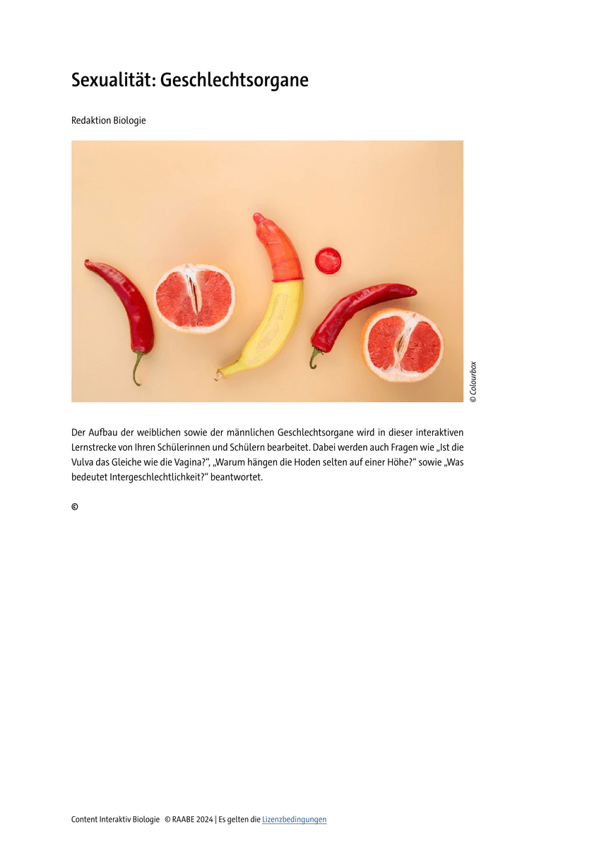 Sexualität: Geschlechtsorgane
