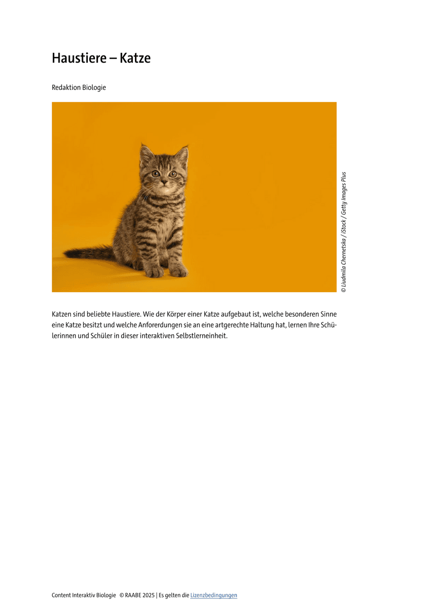 Lernen & Üben: Die Katze als Haustier Lernen & Üben: Die Katze als Haustier