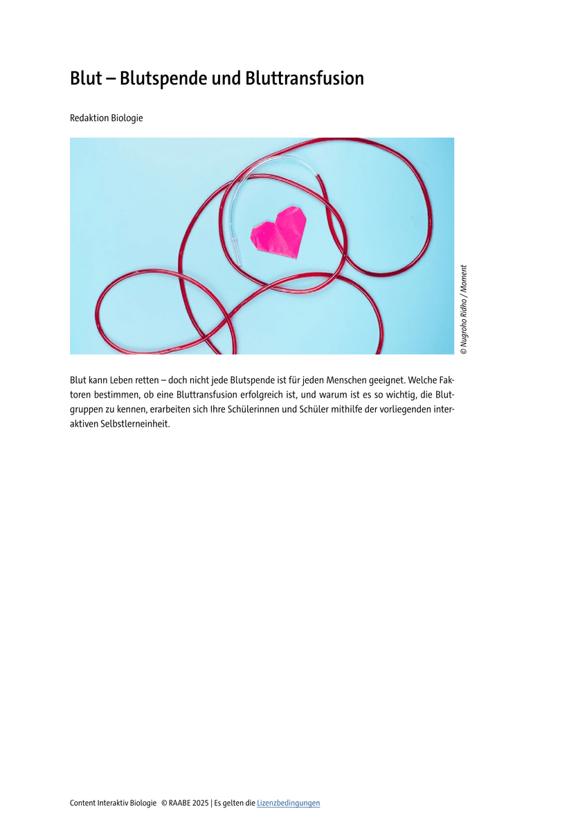 Blut – Blutspende und Bluttransfusion