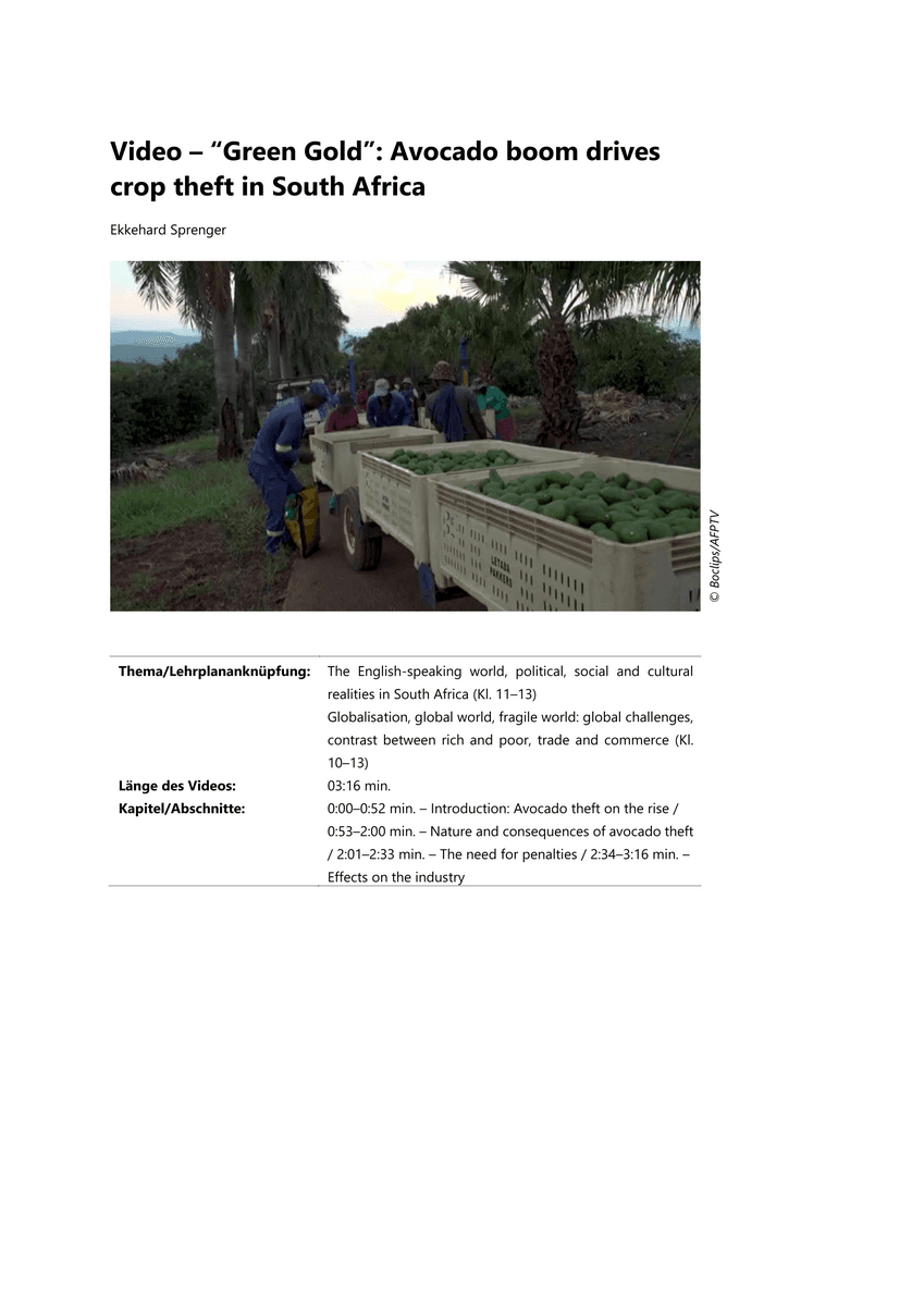 Viewing: Avocado boom drives crop theft in South Africa