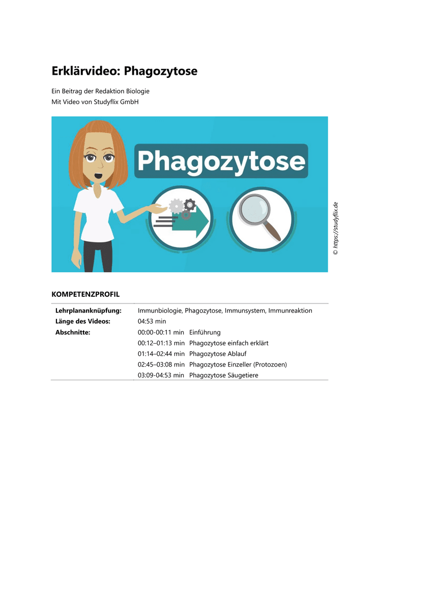 Lernen & Üben: Phagozytose