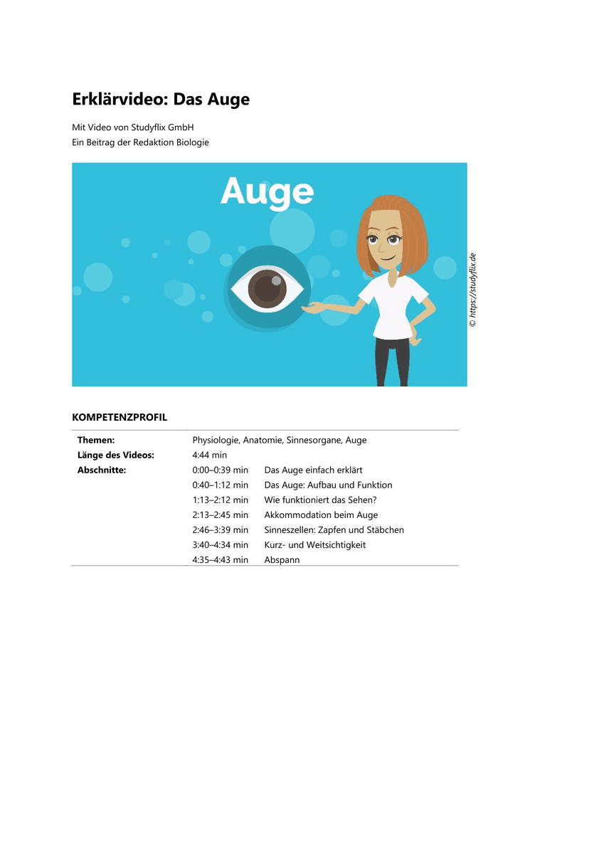 Lernen & Üben: Das Auge