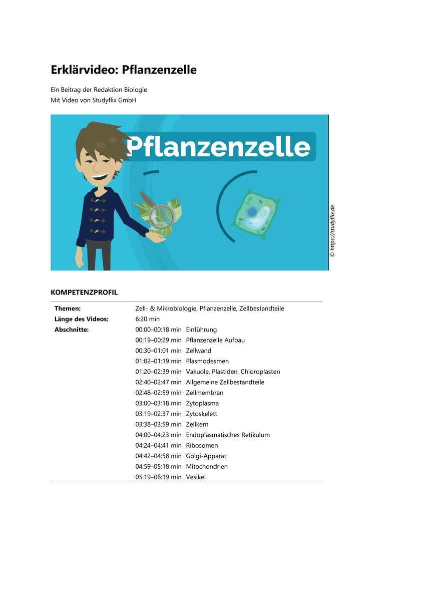 Erklärvideo: Pflanzenzelle