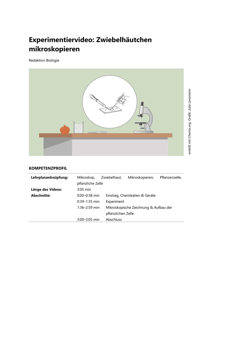 Experiment: Mikroskopieren einer Zwiebelhaut