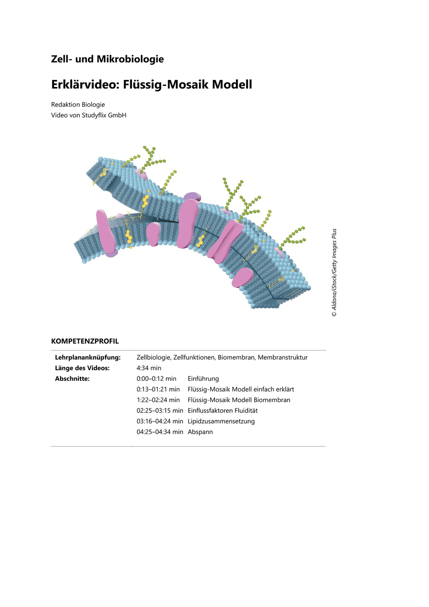 Lernen & Üben: Flüssig-Mosaik-Modell