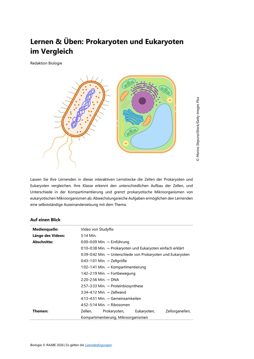 Lernen & Üben: Prokaryoten und Eukaryoten im Vergleich
